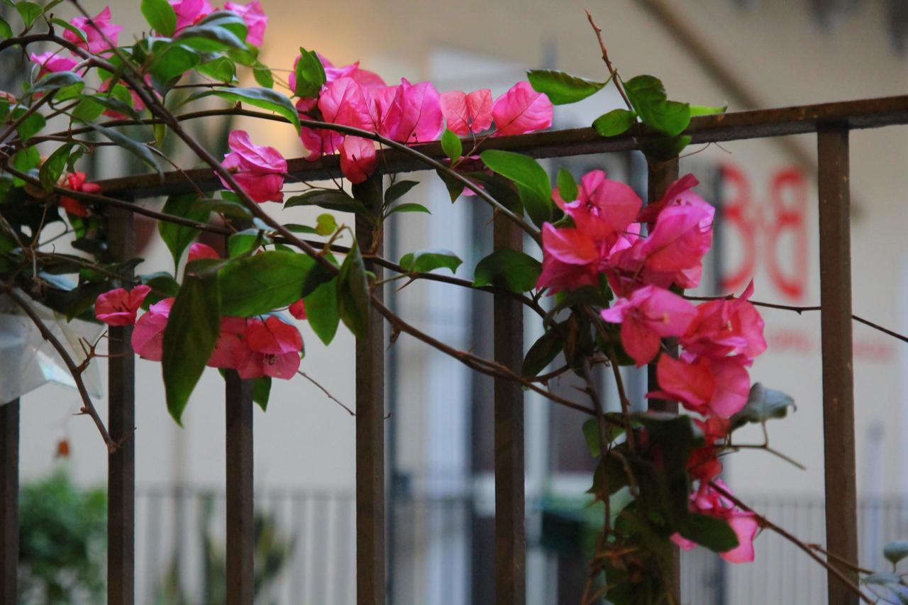 Cortile Stesicoro Bed & Breakfast
